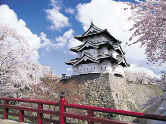 青森・弘前城の桜